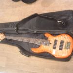 302 2318 Elbas